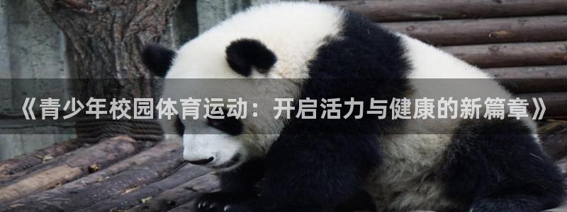 速播体育网：《青少年校园体育运动：开启活力与健康的新篇章》