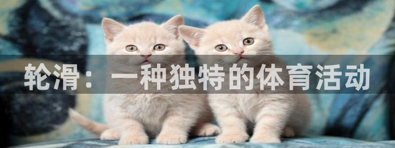 速播体育直播：轮滑：一种独特的体育活动