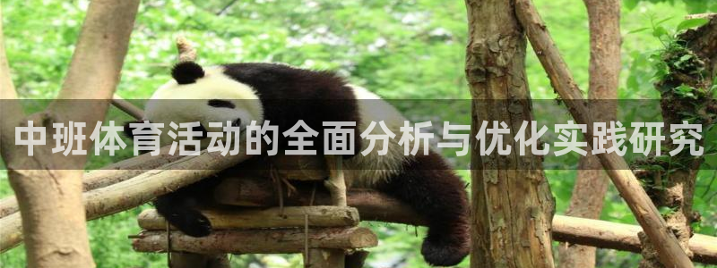速播体育：中班体育活动的全面分析与优化实践研究