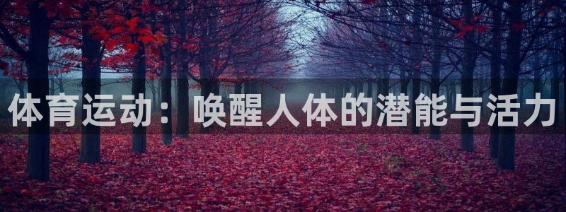 速播体育网：体育运动：唤醒人体的潜能与活力