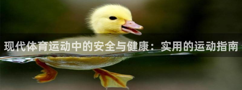速播体育网：现代体育运动中的安全与健康：实用的运动指南