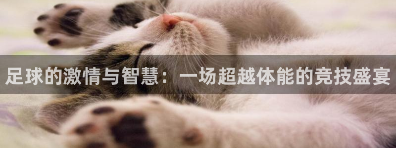 速播体育：足球的激情与智慧：一场超越体能的竞技盛宴
